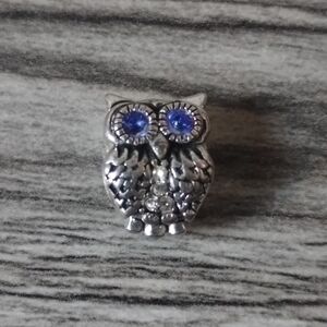 Sterling Silver Owl Charm Blue Eyes